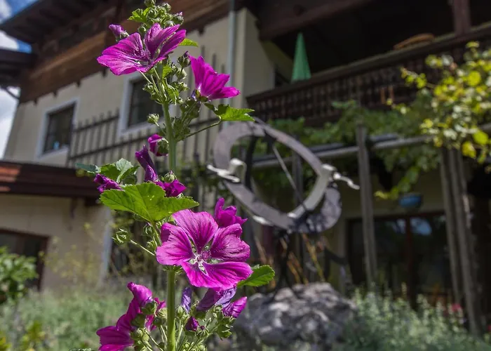 Knippschild 로페르